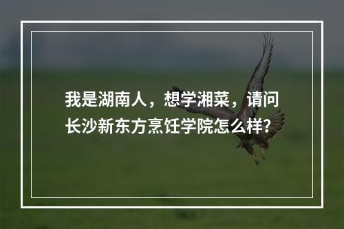 我是湖南人，想学湘菜，请问长沙新东方烹饪学院怎么样？