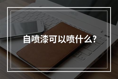 自喷漆可以喷什么?