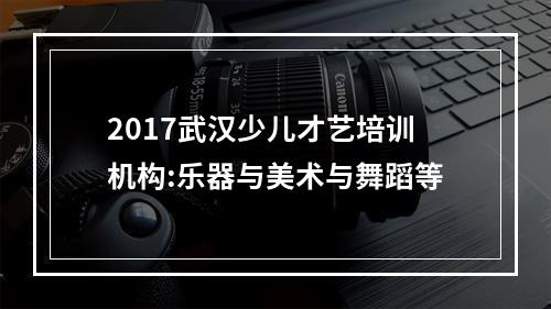 2017武汉少儿才艺培训机构:乐器与美术与舞蹈等