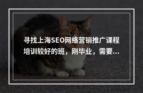 寻找上海SEO网络营销推广课程培训较好的班，刚毕业，需要让自己培训一下。