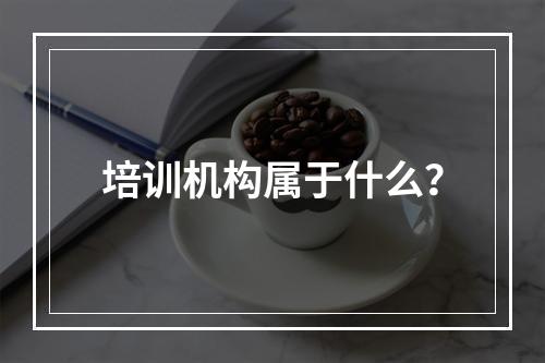 培训机构属于什么？