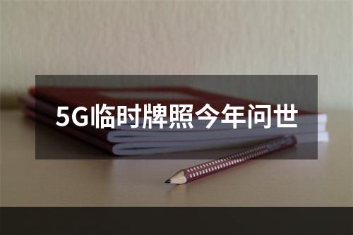 5G临时牌照今年问世