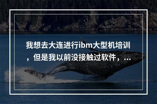 我想去大连进行ibm大型机培训，但是我以前没接触过软件，只是会日语，请问能学懂吗？各位帮帮忙说说看法