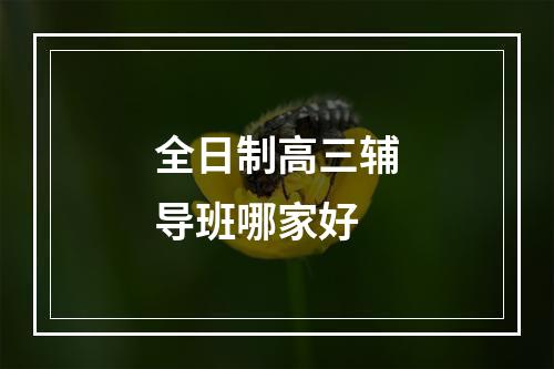 全日制高三辅导班哪家好