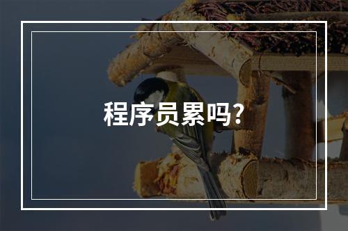 程序员累吗?