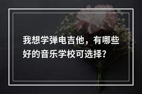 我想学弹电吉他，有哪些好的音乐学校可选择？