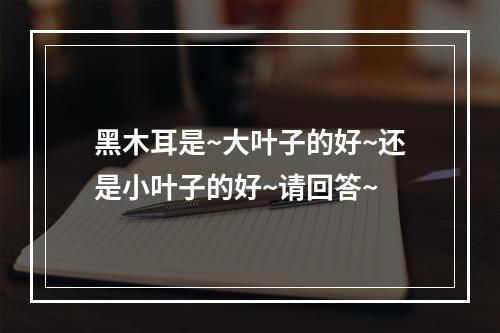 黑木耳是~大叶子的好~还是小叶子的好~请回答~