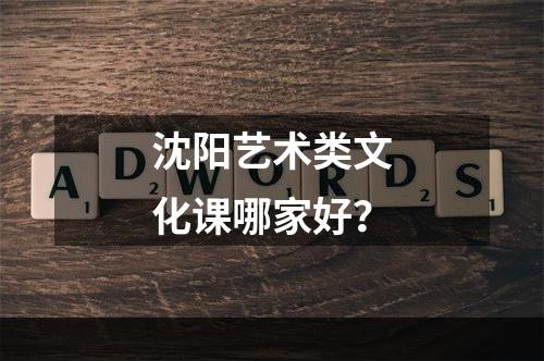 沈阳艺术类文化课哪家好？