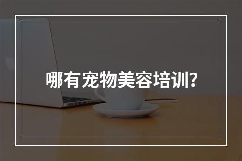 哪有宠物美容培训？