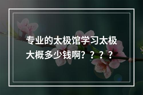 专业的太极馆学习太极大概多少钱啊？？？？