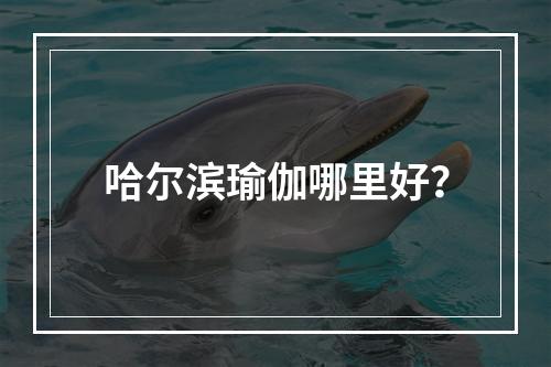 哈尔滨瑜伽哪里好？