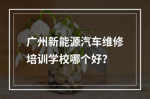 广州新能源汽车维修培训学校哪个好？