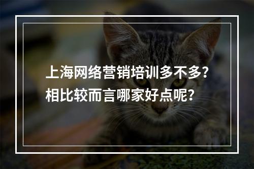 上海网络营销培训多不多？相比较而言哪家好点呢？