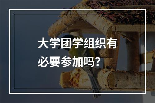 大学团学组织有必要参加吗？