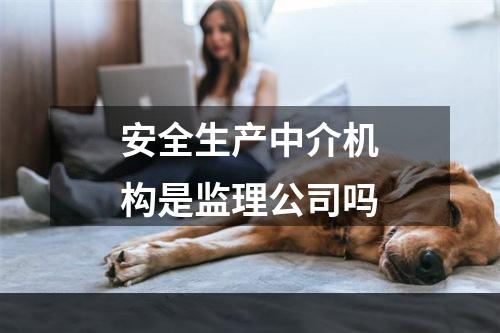 安全生产中介机构是监理公司吗