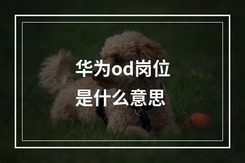 华为od岗位是什么意思