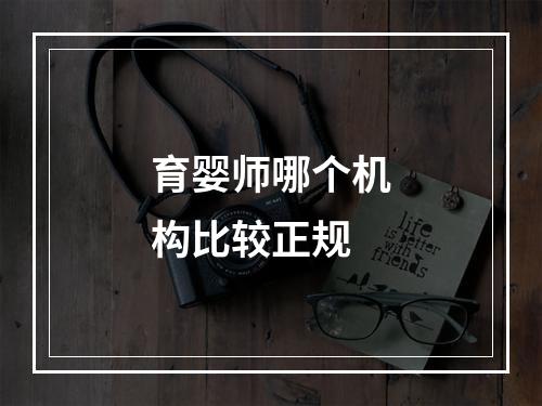 育婴师哪个机构比较正规