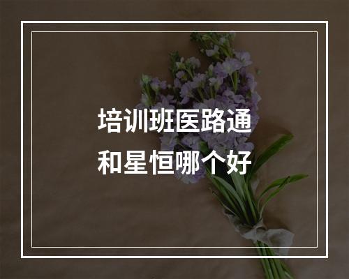 培训班医路通和星恒哪个好