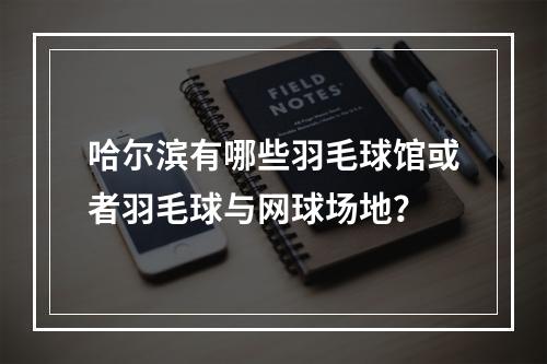 哈尔滨有哪些羽毛球馆或者羽毛球与网球场地？