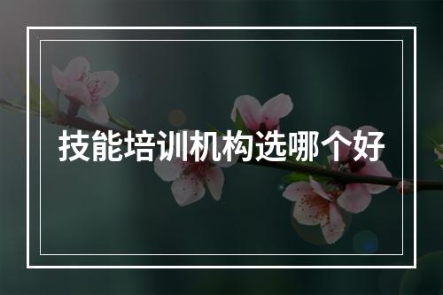 技能培训机构选哪个好