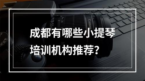 成都有哪些小提琴培训机构推荐？