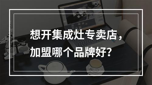 想开集成灶专卖店，加盟哪个品牌好？