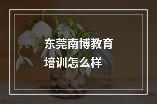 东莞南博教育培训怎么样