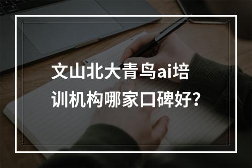 文山北大青鸟ai培训机构哪家口碑好？