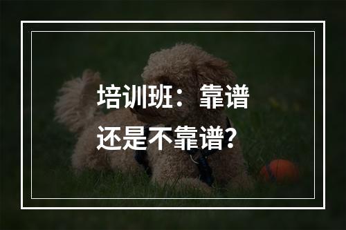 培训班：靠谱还是不靠谱？