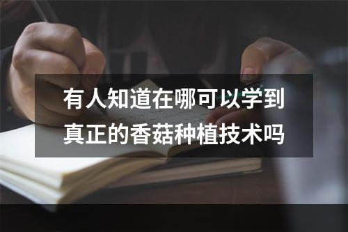 有人知道在哪可以学到真正的香菇种植技术吗