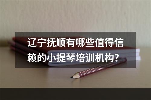 辽宁抚顺有哪些值得信赖的小提琴培训机构？