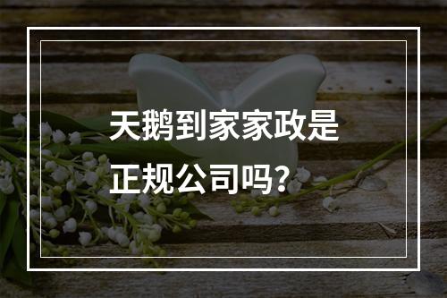 天鹅到家家政是正规公司吗？