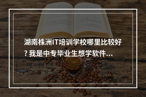 湖南株洲IT培训学校哪里比较好? 我是中专毕业生想学软件，不知道株洲北大青鸟IT培训好不好?