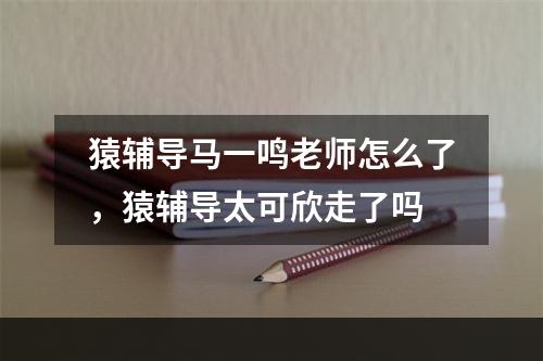 猿辅导马一鸣老师怎么了，猿辅导太可欣走了吗