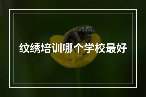 纹绣培训哪个学校最好