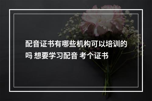 配音证书有哪些机构可以培训的吗 想要学习配音 考个证书