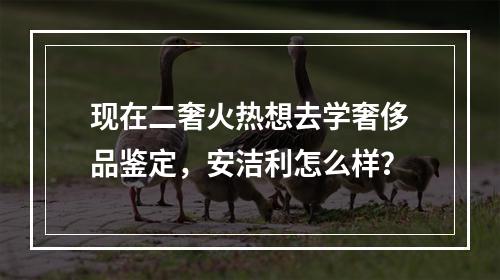 现在二奢火热想去学奢侈品鉴定，安洁利怎么样？