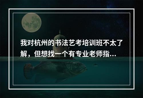 我对杭州的书法艺考培训班不太了解，但想找一个有专业老师指导的机构，有推荐的吗？