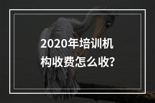 2020年培训机构收费怎么收？