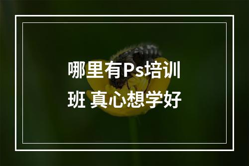 哪里有Ps培训班 真心想学好