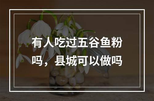 有人吃过五谷鱼粉吗，县城可以做吗