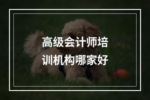 高级会计师培训机构哪家好