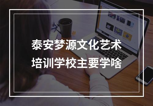 泰安梦源文化艺术培训学校主要学啥