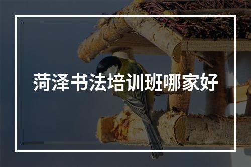 菏泽书法培训班哪家好