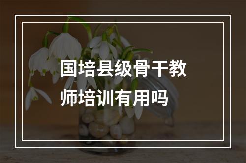 国培县级骨干教师培训有用吗