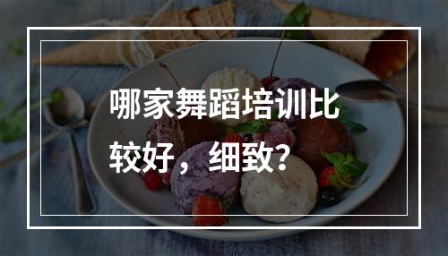 哪家舞蹈培训比较好，细致？