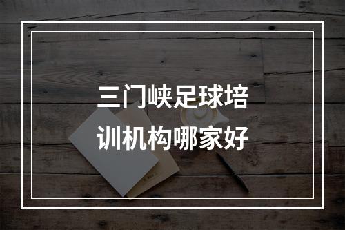 三门峡足球培训机构哪家好