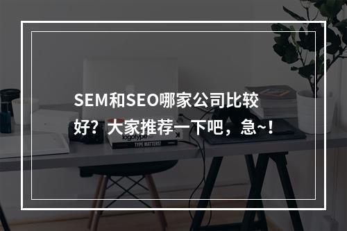 SEM和SEO哪家公司比较好？大家推荐一下吧，急~！