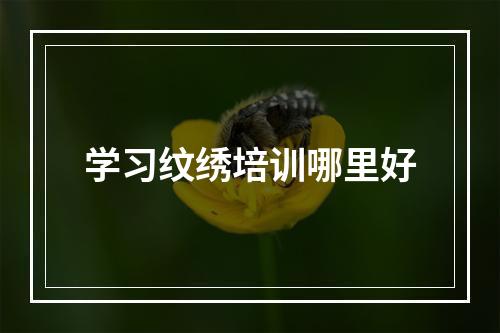 学习纹绣培训哪里好