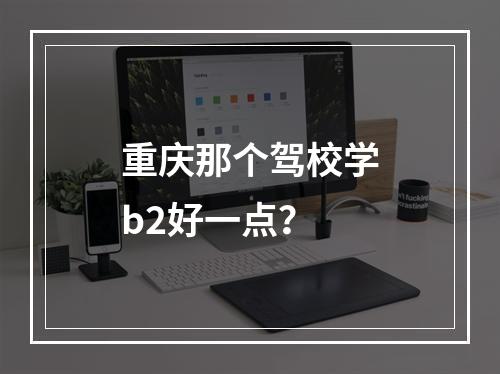 重庆那个驾校学b2好一点？